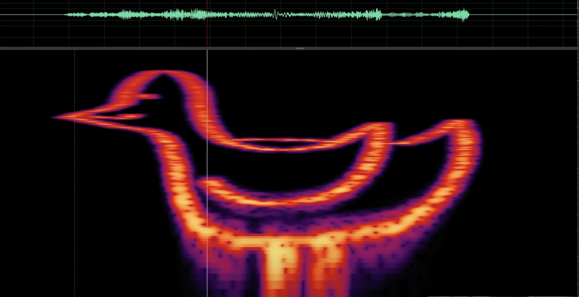 Bird spectrogram visualization